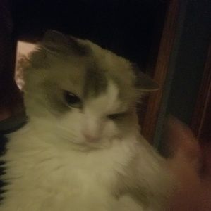 Meet your Posher, Stacy